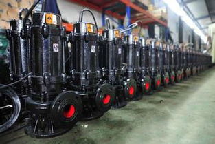 as av撕裂潛水排污泵,as av撕裂潛水排污泵特點(diǎn)